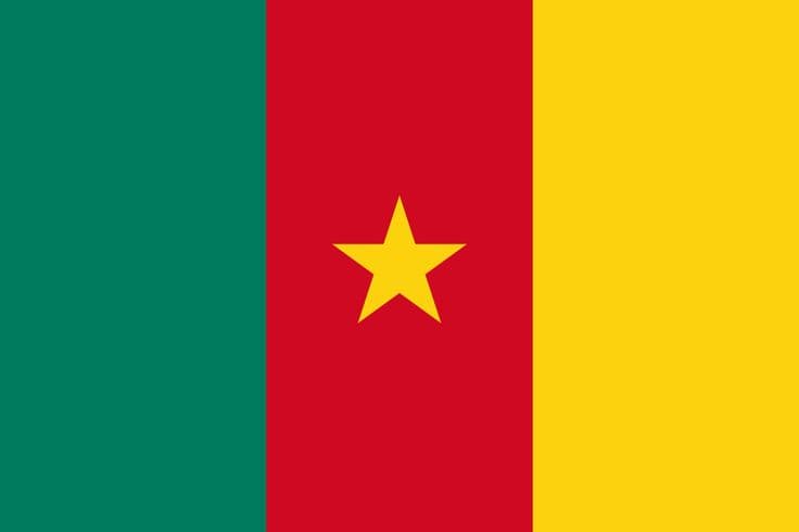 Cameroon flag